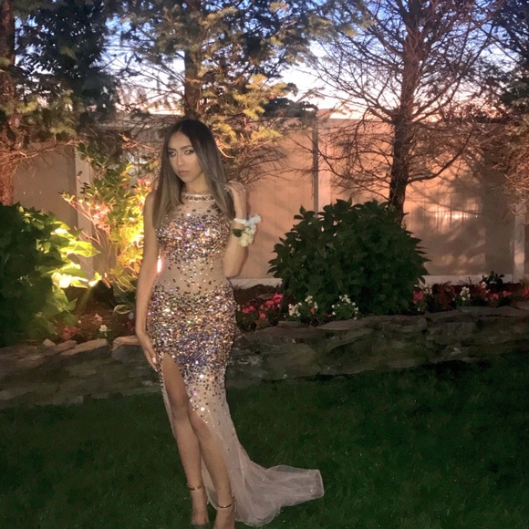 Prom Dress / Evening Gown - Picture 5 of 6